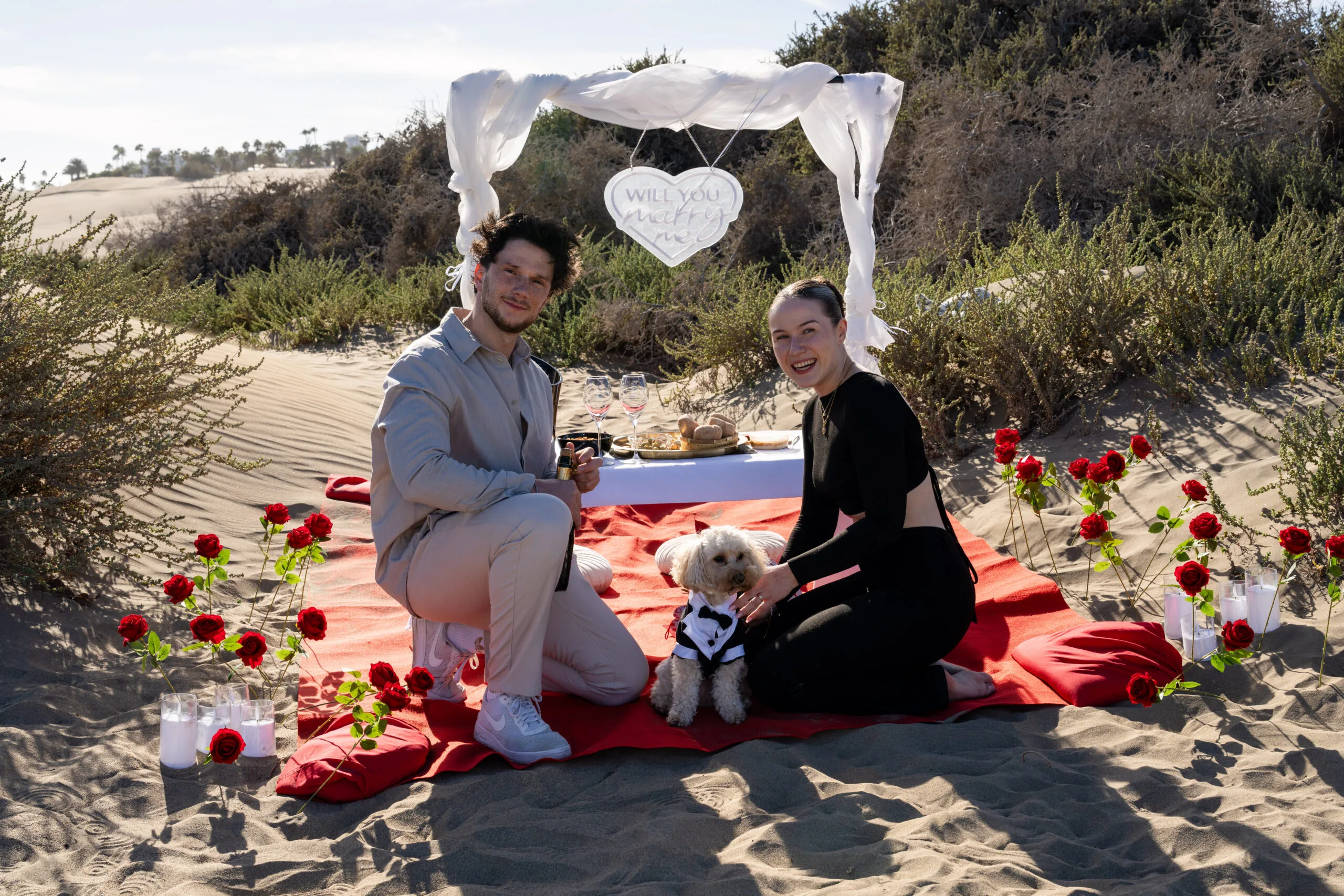 Luxury picnic setup Gran Canaria styled