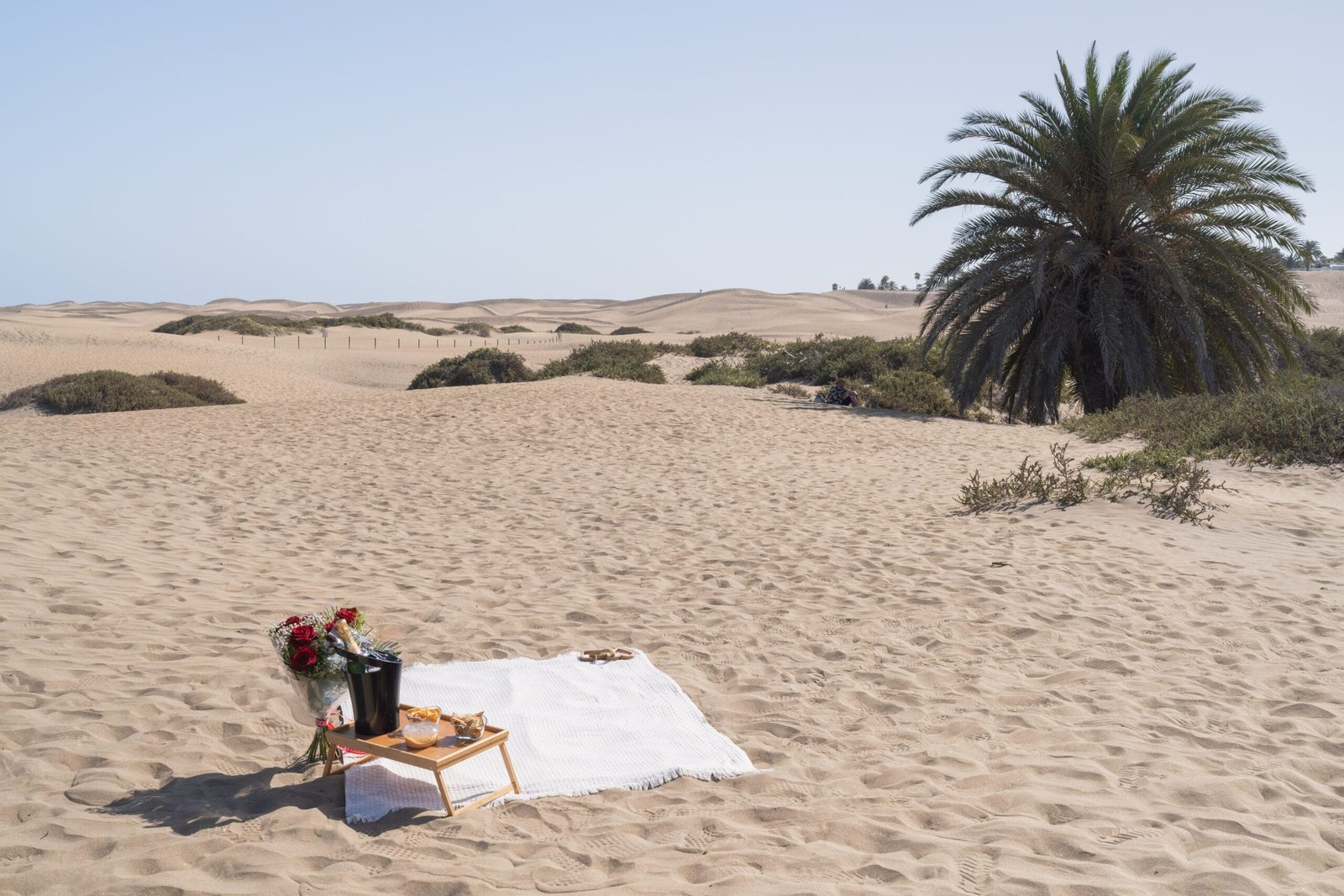 Playa del Inglés famous palm tree dunes picnic photoshoot